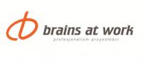 logo firmy Brains at Work